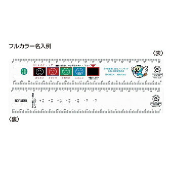 エコ・ストレスチェック 直定規・両面20cm　表面を押さえるだけでストレスチェックができ、裏面で視力検査ができます。エコマーク認定商品。グリーン購入法適合