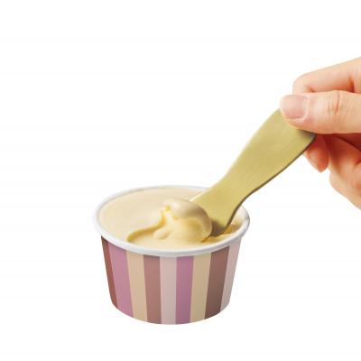じわっととろける アイスクリームスプーン　200個セット販売　アルミ製で熱伝導が良く、手の熱がアイスに伝わりじんわり溶かします　熱伝導スプーン　上品なシャンパンゴールドが高級感を演出　販促品・景品・ノベルティ・記念品
