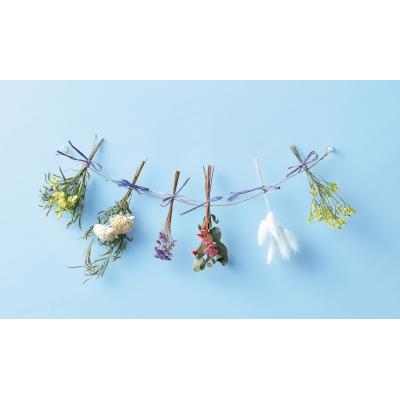 春バーゲン 世界に一つだけのフラワー スワッグガーランド 6個セット販売 日本製 ドライフラワーを使ってインテリアアイテムをdiy 自宅でのひとトキを演出 育てる を楽しめるハーブの種付き 作り方動画 Qr も付いています セール価格 公式 Clubfm Al 春バーゲン 世界に一つだけのフラワー スワッグガーランド 6個セット販売 日本製 ドライフラワーを使ってインテリアアイテムをdiy 自宅でのひとトキを演出 育てる を楽しめるハーブの種付き 作り方動画 Qr も付いています セール価格 公式 Clubfm Al