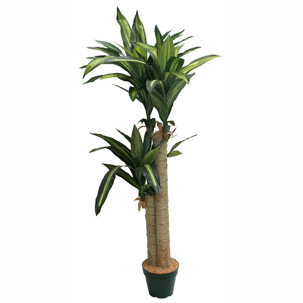 観葉植物　造花　ディスプレイ　ドラセナ128ｃｍ　【沖縄・北海道・離島発送不可商品】｜ゴールドスター