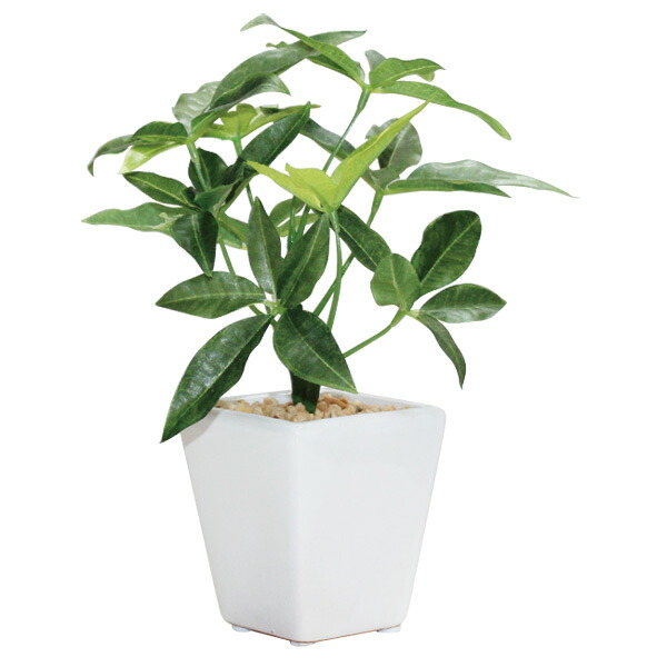 観葉植物　造花　ディスプレイ　ミニパキラポット20ｃｍ　12個セット販売　オフィス・店舗で人気｜ゴールドスター