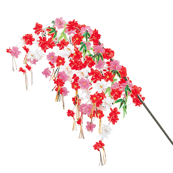 正月 ひけらかす 采随従プラム歯朶レ10巻帙ブランチ付き Springraise Org