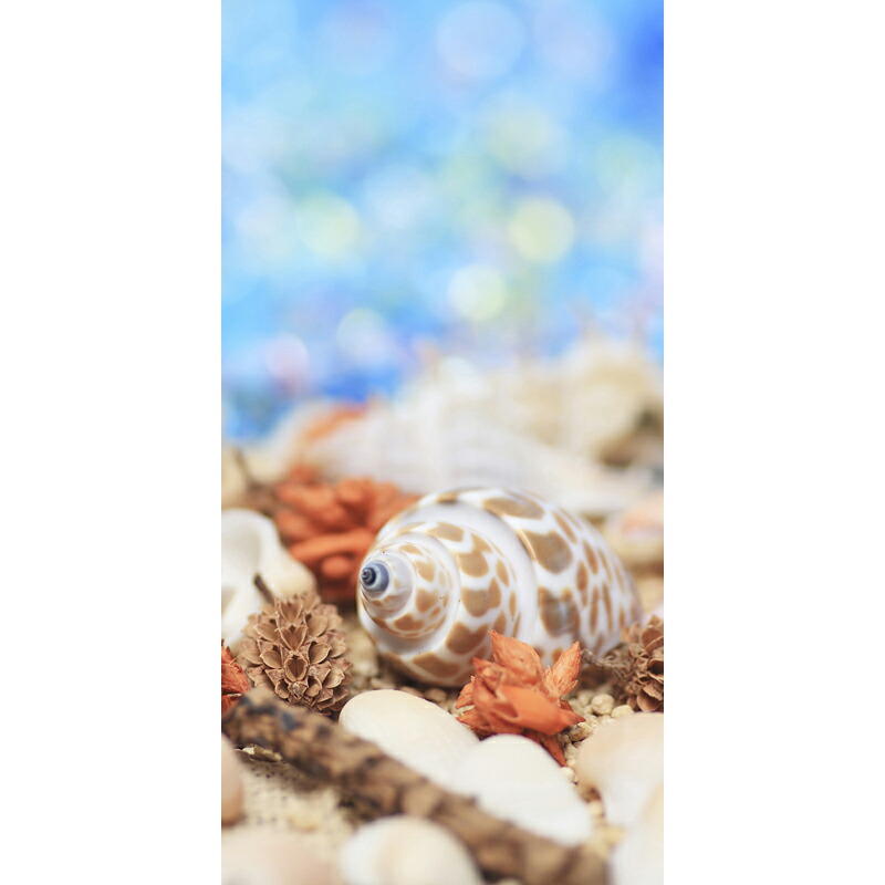 夏の装飾 ディスプレイ タペストリー 貝殻 上部パイプ付き 上部ひもつき 180 90ｃｍ New限定品