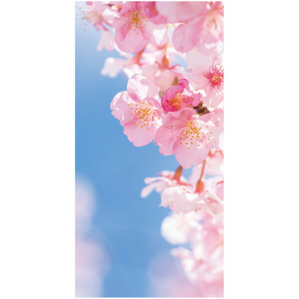 楽天市場】桜タペストリー 桜枝満開 防炎加工 L180cm / 桜 装飾 幕