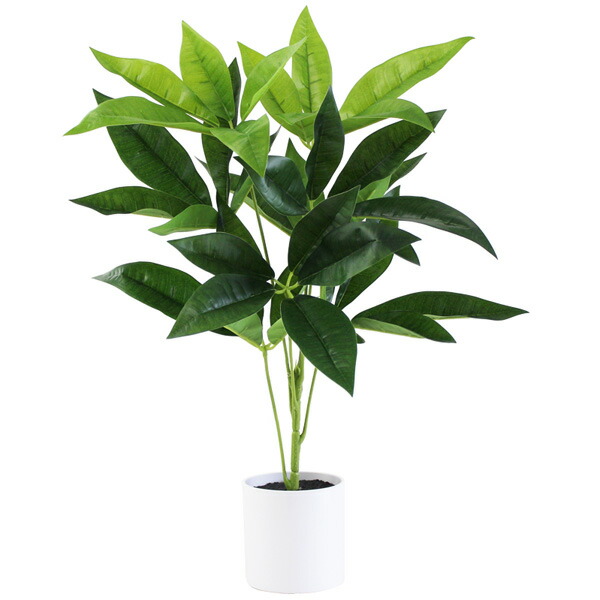 楽天市場 観葉植物 ディスプレイ 造花 フォーチュンツリー 50cm 光触媒 オフィス 店舗 飲食店で人気の観葉植物装飾 ゴールドスター