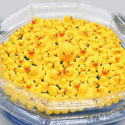 うきうきアヒルパーティー　すくいどり大会100名様用　ラストワン付き　釣って遊んで楽しいつり大会　夏祭り・子供会・自治会・縁日イベント