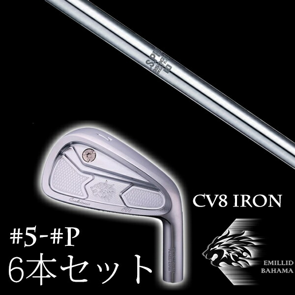カスタム野球クラブ エミリッドバハマ カールヴィンソン CV8アイアン #5-PW 6本仕掛ける 950GH WF エヌエスプロ 日本立て坑 EMILLID BAHAMA ゴルフ-スポーツ・アウトドア