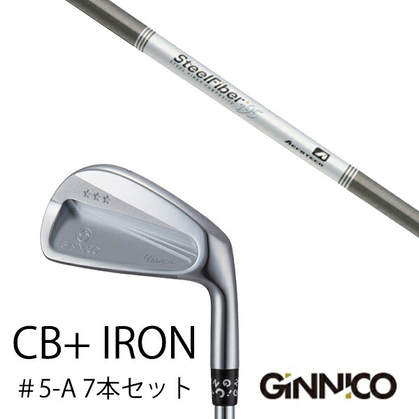 カスタムクラブ 7本セット / イオンスポーツ ジニコ GINNICO CB+ Iron #5-A / スチールファイバー i シリーズ トゥルーテンパー / EONSPORTS|ゴルフトゥエンティ