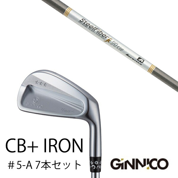 カスタムクラブ 7本セット / イオンスポーツ ジニコ GINNICO CB+ Iron #5-A / スチールファイバー FC シリーズ トゥルーテンパー / EONSPORTS｜ゴルフトゥエンティ