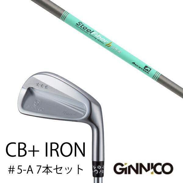 カスタムクラブ 7本セット / イオンスポーツ ジニコ GINNICO CB+ Iron #5-A / スチールファイバー Hツアー シリーズ トゥルーテンパー / EONSPORTS|ゴルフトゥエンティ