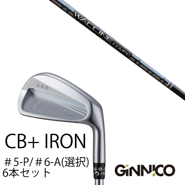 カスタムクラブ 6本セット / イオンスポーツ ジニコ GINNICO CB+ Iron #5-P #6-A 番手選択 / ワクチンコンポ GR331 WACCINEcompo GR331 / EONSPORTS|ゴルフトゥエンティ