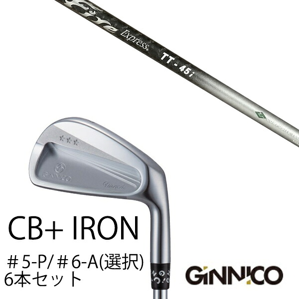 カスタムクラブ 6本セット / イオンスポーツ ジニコ GINNICO CB+ Iron #5-P #6-A 番手選択 / ファイヤーエクスプレス TT-45i Fire Express TT-45i / EONSPORTS|ゴルフトゥエンティ