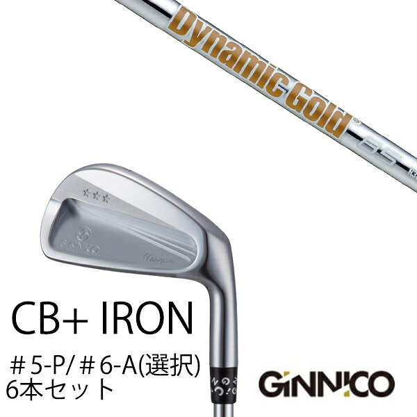 カスタムクラブ 6本セット / イオンスポーツ ジニコ GINNICO CB+ Iron #5-P ＃6-A 番手選択 / ダイナミックゴールド 85 DG85 トゥルーテンパー / EONSPORTS｜ゴルフトゥエンティ
