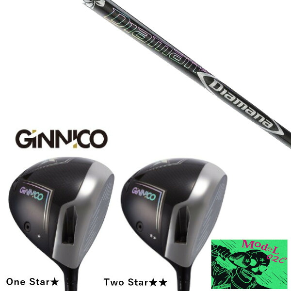 カスタムクラブ イオンスポーツ GINNICO MODEL02C DRIVER ジニコ モデル02C ドライバー 三菱ケミカル ディアマナ DF Diamana DF シャフト ヘッドカバー付き