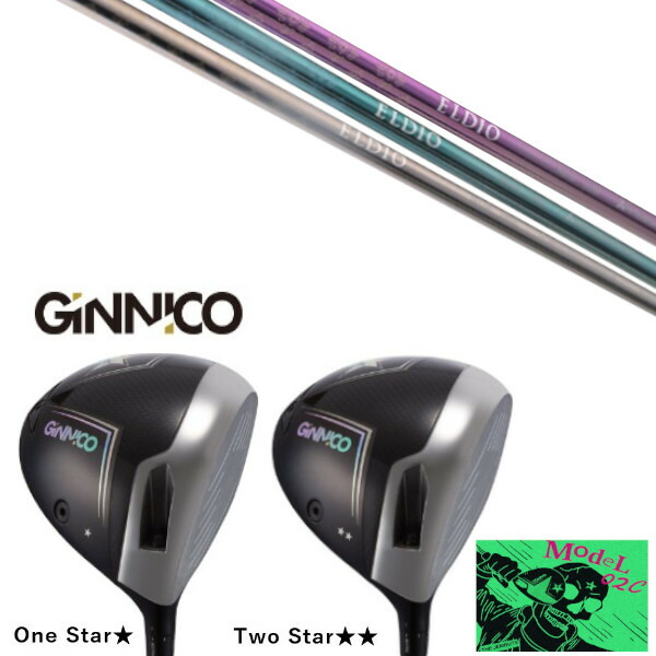 カスタムクラブ イオンスポーツ GINNICO MODEL02C DRIVER ジニコ モデル02C ドライバー 三菱ケミカル エルディオ ELDIO No.06 女性専用シャフト ヘッドカバー付き