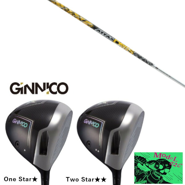 カスタムクラブ イオンスポーツ GINNICO MODEL02C DRIVER ジニコ モデル02C ドライバー UST マミヤ ATTAS DAAAS アッタス ダァーッス シャフト ヘッドカバー付き
