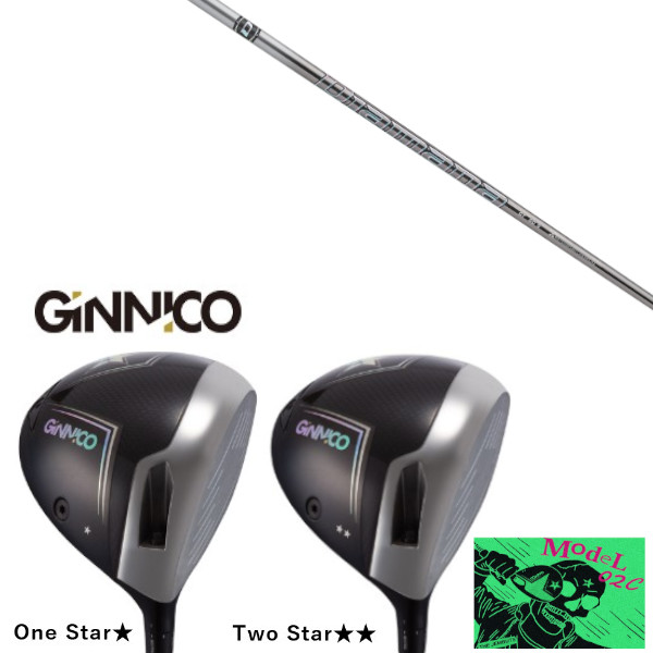 カスタムクラブ イオンスポーツ GINNICO MODEL02C DRIVER ジニコ