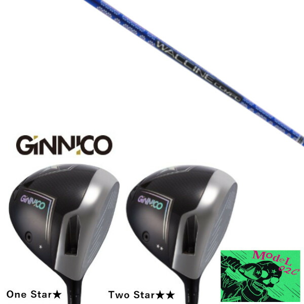 カスタムクラブ イオンスポーツ GINNICO MODEL02C DRIVER ジニコ モデル02C ドライバー グラヴィティ ワクチンコンポ WACCINE compo GR561 シャフト ヘッドカバー付き