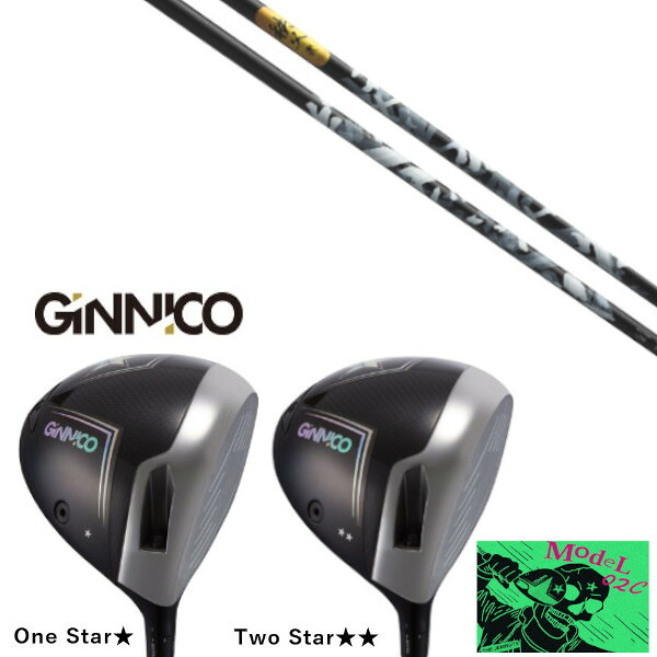 カスタムクラブ イオンスポーツ GINNICO MODEL02C DRIVER ジニコ モデル02C ドライバー グラファイトデザイン 秩父弐 chichibu2 シャフト ヘッドカバー付き