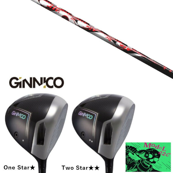 カスタムクラブ イオンスポーツ GINNICO MODEL02C DRIVER ジニコ モデル02C ドライバー トリプルエックス TRPX Air シャフト ヘッドカバー付き｜ゴルフトゥエンティ