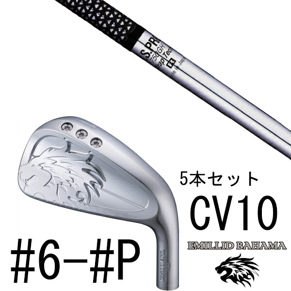 カスタムクラブ エミリットバハマ カールヴィンソン CV10 アイアン #6-#P 5本セット / NSプロ 750GH エヌエスプロ 日本シャフト｜ゴルフトゥエンティ