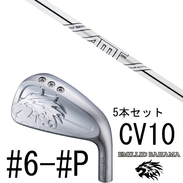 カスタム野球クラブ エミリットバハマ カールヴィンソン CV10 アイアン #6-#P 5本仕掛ける / ダイナミックゴールド DG AMT周遊旅行白いこと