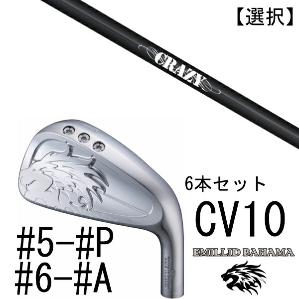カスタム野球クラブ エミリットバハマ カールヴィンソン CV10 アイアン #5-#P #6-#A 6本仕掛ける 番手選り分ける /  クレイジー STI-80 CRAZY ゴルフ-メンズクラブ