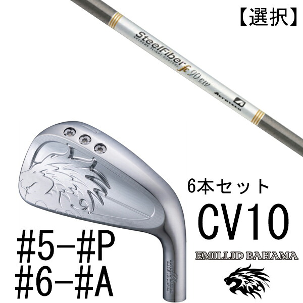 カスタムクラブ エミリットバハマ カールヴィンソン CV10 アイアン #5-#P #6-#A 6本セット 番手選択 / スチールファイバー FC シリーズ トゥルーテンパー