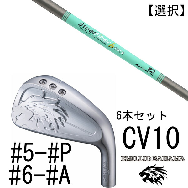 カスタムクラブ エミリットバハマ カールヴィンソン CV10 アイアン #5-#P #6-#A 6本セット 番手選択 / スチールファイバー Hツアー シリーズ トゥルーテンパー｜ゴルフトゥエンティ