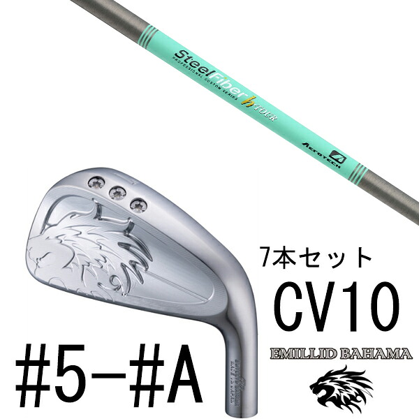 カスタムクラブ エミリットバハマ カールヴィンソン CV10 アイアン #5-#A 7本セット / スチールファイバー Hツアー シリーズ トゥルーテンパー｜ゴルフトゥエンティ 150,650円