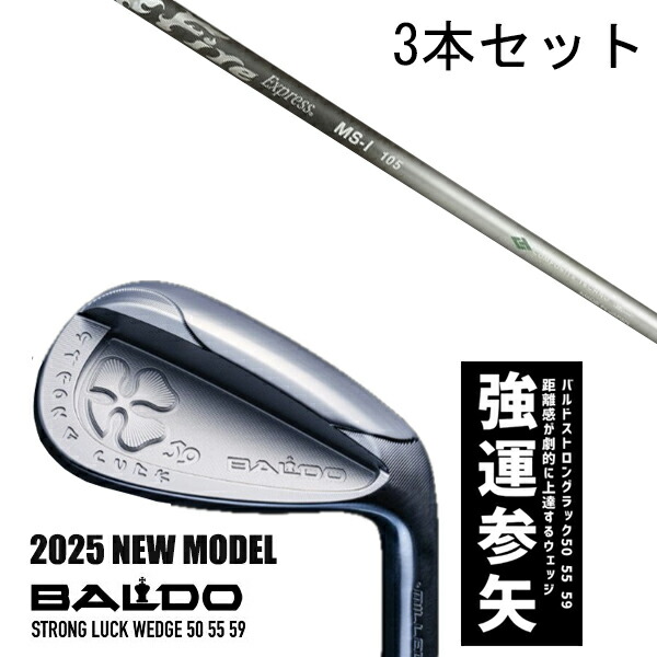 カスタムクラブ 【3本セット】 2025年モデル バルド ストロング ラック ウエッジ BALDO STRONG LUCK WEDGE / ファイアーエクスプレス MS-I アイアン / 5営業日以内の発送