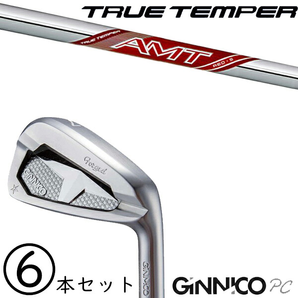 5-PW 6-AW 6本セット /飛距離×安定 ジニコ PC アイアン カスタムクラブ / ダイナミックゴールド New AMT レッド アイアン / 5営業日以内の発送|ゴルフトゥエンティ