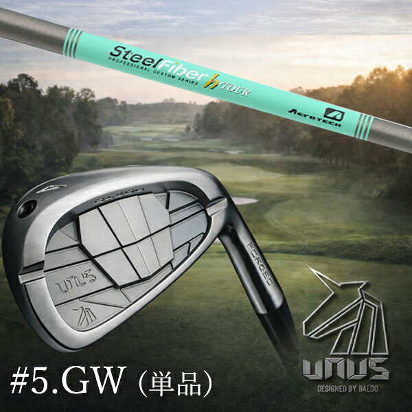 ＃5.GW(単品) / カスタム野球クラブ【 決定付ける選り分ける 】2026 BALDO UNUS バルド ウヌス アイアン /  スチール写真衣料繊維 H周遊旅行 つづき物 アイアン / 5売り買い日以内の送りとどける スポーツ・アウトドア-アイアン-クラブ