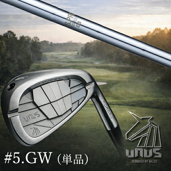 ＃5.GW(単品) / カスタムクラブ【 左右選択 】2026 BALDO UNUS バルド ウヌス アイアン / NSプロ 1050GH 日本シャフト アイアン / 5営業日以内の発送
