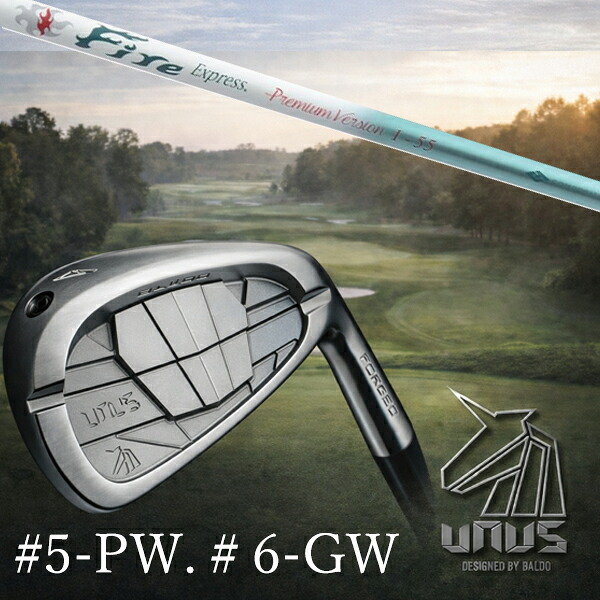 ＃5-PW  #6-GW 6本仕掛ける / カスタム野球クラブ【 決定づける選りわける 】2026 BALDO UNUS バルド ウヌス アイアン / ファイアー急行列車 割り増し金変わり種 / 5取り引き日以内の送りとどける