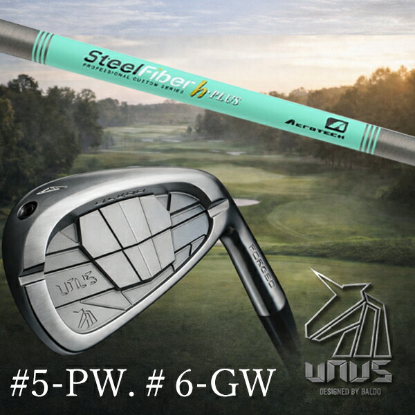 ＃5-PW #6-GW 6本セット / カスタムクラブ【 左右選択 】2026 BALDO UNUS バルド ウヌス アイアン / スチールファイバー Hプラス シリーズ アイアン / 5営業日以内の発送