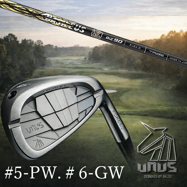 ＃5-PW #6-GW 6本セット / カスタムクラブ【 左右選択 】2026 BALDO UNUS バルド ウヌス アイアン / バシレウス ボロン アイアン / 5営業日以内の発送｜ゴルフトゥエンティ