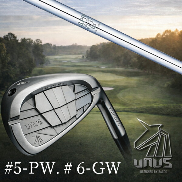 ＃5-PW #6-GW 6本セット / カスタムクラブ【 左右選択 】2026 BALDO UNUS バルド ウヌス アイアン / NSプロ 950GH HT 日本シャフト アイアン / 5営業日以内の発送
