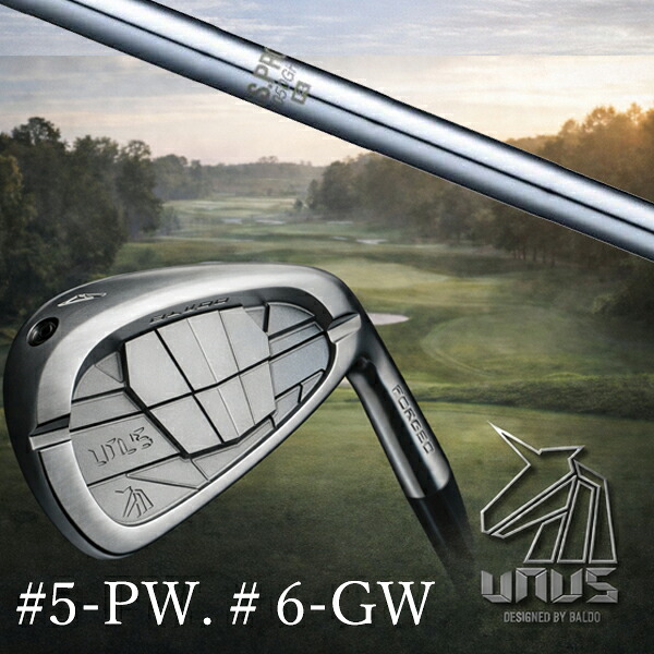 ＃5-PW #6-GW 6本セット / カスタムクラブ【 左右選択 】2026 BALDO UNUS バルド ウヌス アイアン / NSプロ 1050GH 日本シャフト アイアン / 5営業日以内の発送