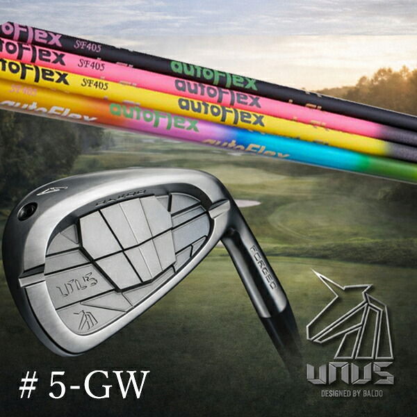 ＃5-GW 7本仕掛ける＃5.GW(単品) / カスタム野球クラブ【 決定づける選りわける 】2026 BALDO UNUS バルド ウヌス アイアン /  オートフレックス アイアン / 5取り引き日以内の送りとどける