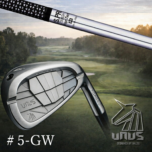 ＃5-GW 7本セット / カスタムクラブ【 左右選択 】2026 BALDO UNUS バルド ウヌス アイアン / NSプロ 750GH 日本シャフト アイアン / 5営業日以内の発送