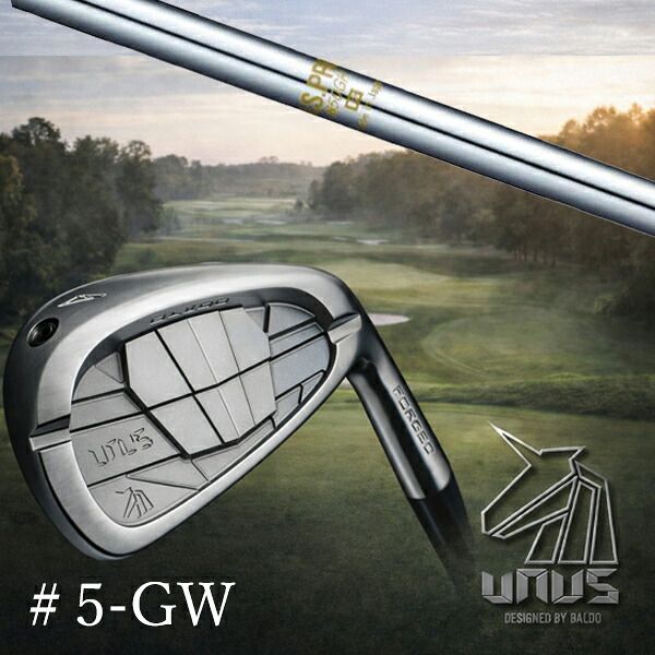 ＃5-GW 7本セット / カスタムクラブ【 左右選択 】2026 BALDO UNUS バルド ウヌス アイアン / NSプロ 850GH 日本シャフト アイアン / 5営業日以内の発送