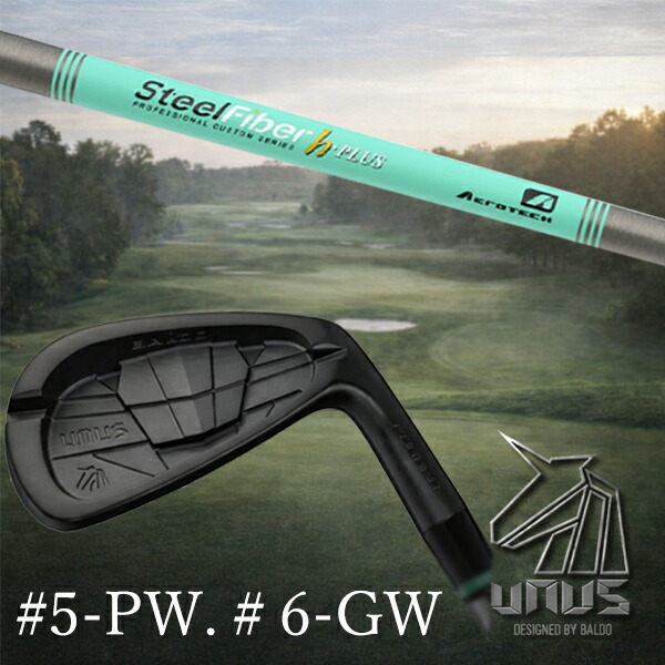 ＃5-PW #6-GW 6本セット / カスタムクラブ【 左右選択 】2026 BALDO UNUS バルド ウヌス アイアン / スチールファイバー Hプラス シリーズ アイアン / 5営業日以内の発送