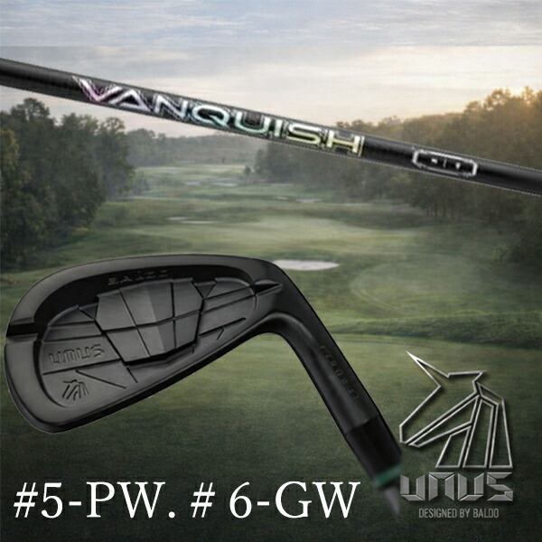 ＃5-PW #6-GW 6本セット / カスタムクラブ【 左右選択 】2026 BALDO UNUS バルド ウヌス アイアン / バンキッシュ VANQUISH アイアン 三菱ケミカル / 5営業日以内の発送