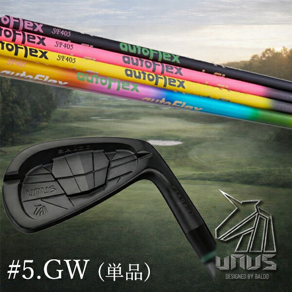 #5.GW(単品) / カスタムクラブ【 左右選択 】2026 BALDO UNUS バルド ウヌス アイアン / 5営業日以内の発送