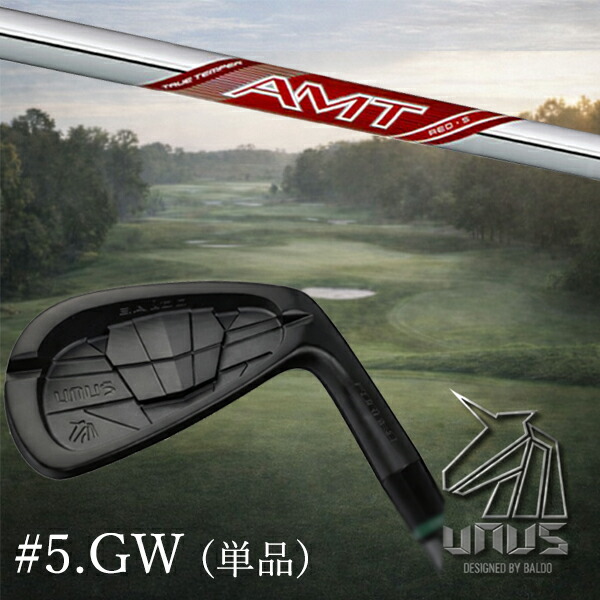 ＃5.GW(単品) / カスタムクラブ【 左右選択 】2026 BALDO UNUS バルド ウヌス アイアン / ダイナミックゴールド New AMT レッド アイアン / 5営業日以内の発送
