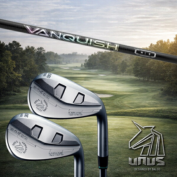 カスタム野球クラブ【 決定づける 】2026 BALDO UNUS バルド ウヌス ウエッジ / バンキッシュ VANQUISH アイアン 三菱ケミカル / 5取り引き日以内の送りとどける