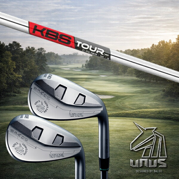 カスタム野球クラブ【 決定づける 】2026 BALDO UNUS バルド ウヌス ウエッジ / KBS Cテーパー C-TAPER アイアン / 5取り引き日以内の送りとどける