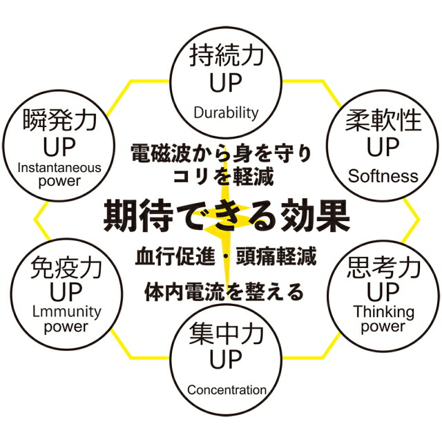 ザップ Zaap アスリートモデル Takeru 武尊セット ネックレス ブレスレット 2点組 専用ケース付 電磁波対策 電磁波防止 電磁波カット 医療機器 身体能力アップ Prescriptionpillsonline Is