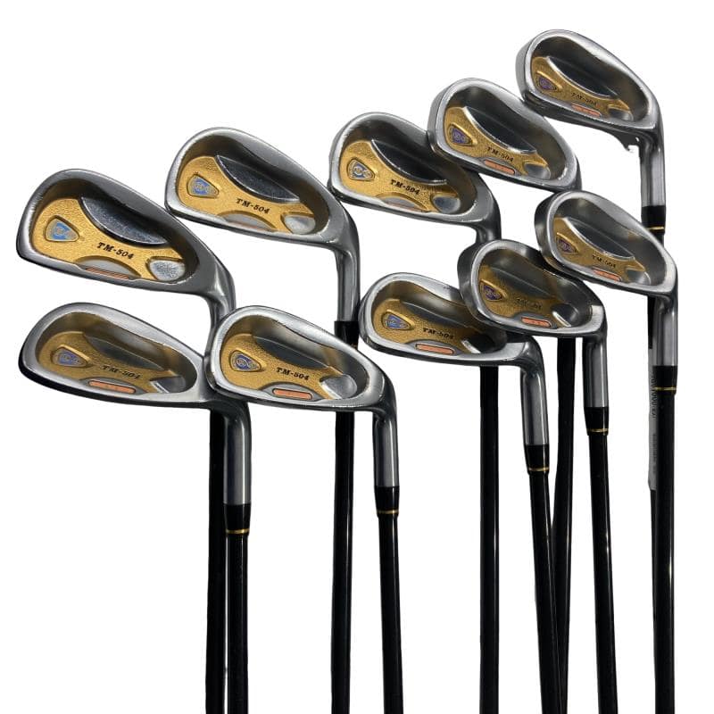 【中古】 本間ゴルフ Twin Marks TM-504 10S アイアンセット IR 2S ARMRQ856 (フレックスその他) メンズ 男性用 右利き 右用 Dランク ゴルフクラブ